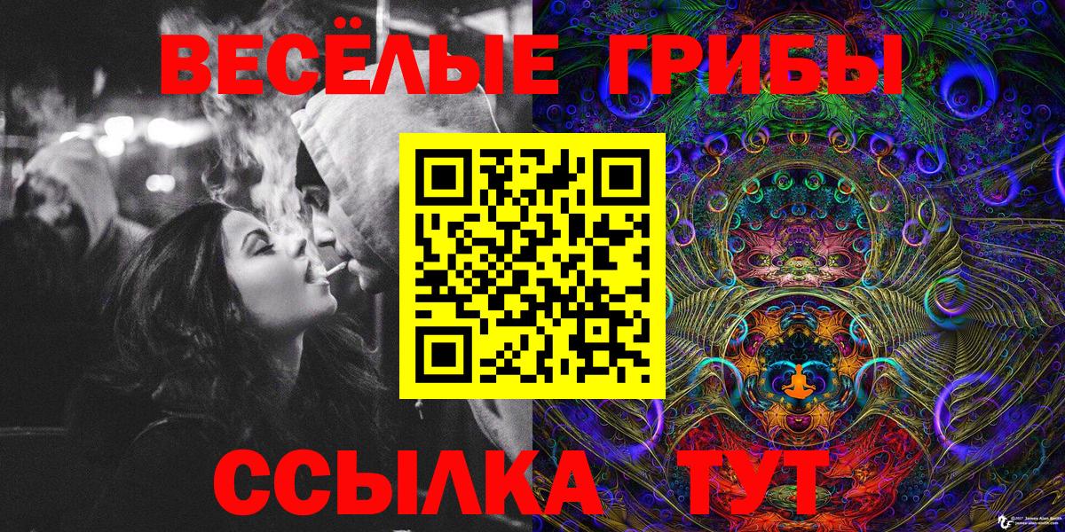 Псилоцибиновые грибы Psilocybine cubensis  Вход с VPN  Можга 
